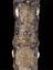 Tobacco pipe, encrusted with coins, buttons, badges, shells, plaques and crests