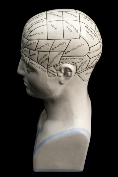 Phrenological Head, United Kingdom, 1901-1970