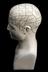 Phrenological bust, glazed earthenware, British, 1901-1970