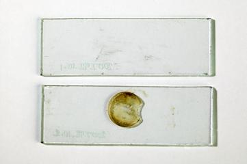 Pair of microscope slides from Grimshaw Brothers & Sons Chemical Works in Clayton