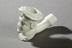 John Pollock & Co Clay Tobacco Pipes Collection