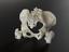 3D printed pelvis scaffold