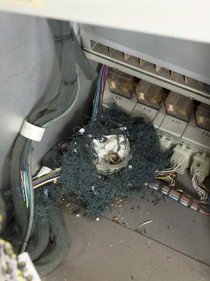 Mouse nest found in EAI Pace TR-48 Analogue Computer