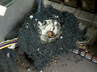 Mouse nest found in EAI Pace TR-48 Analogue Computer