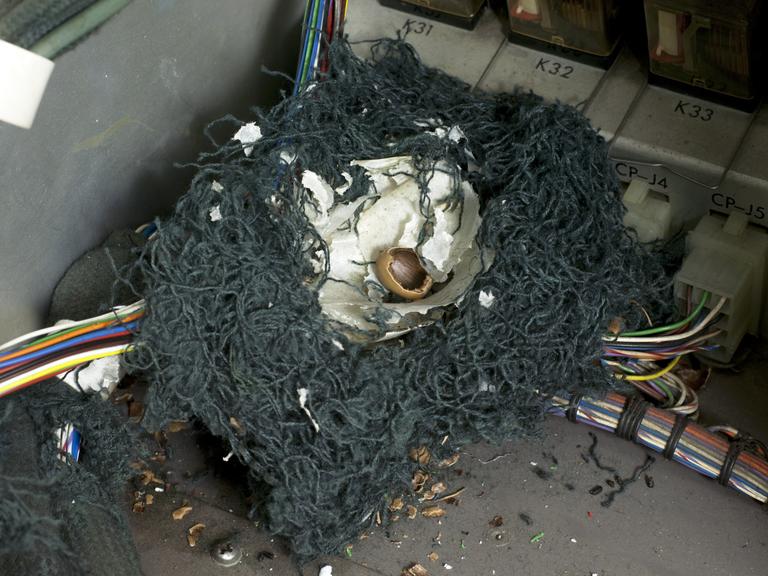 Mouse nest found in EAI Pace TR-48 Analogue Computer