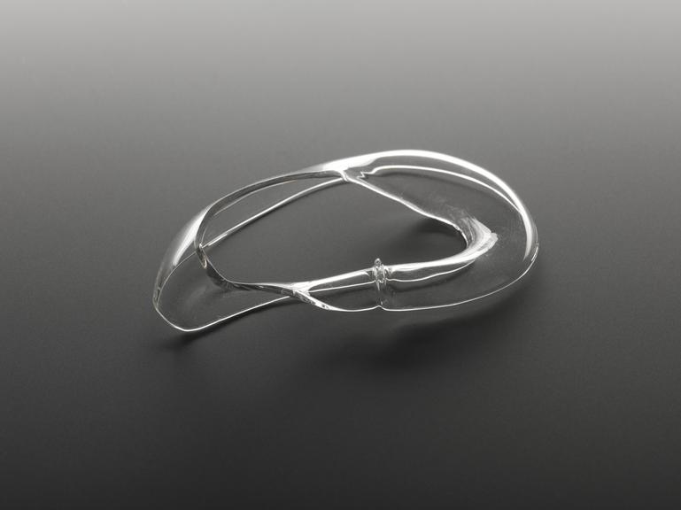 Part of Klein bottle cut to form two single-twist Mobius strips