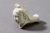 John Pollock & Co Clay Tobacco Pipes Collection
