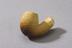 John Pollock & Co Clay Tobacco Pipes Collection
