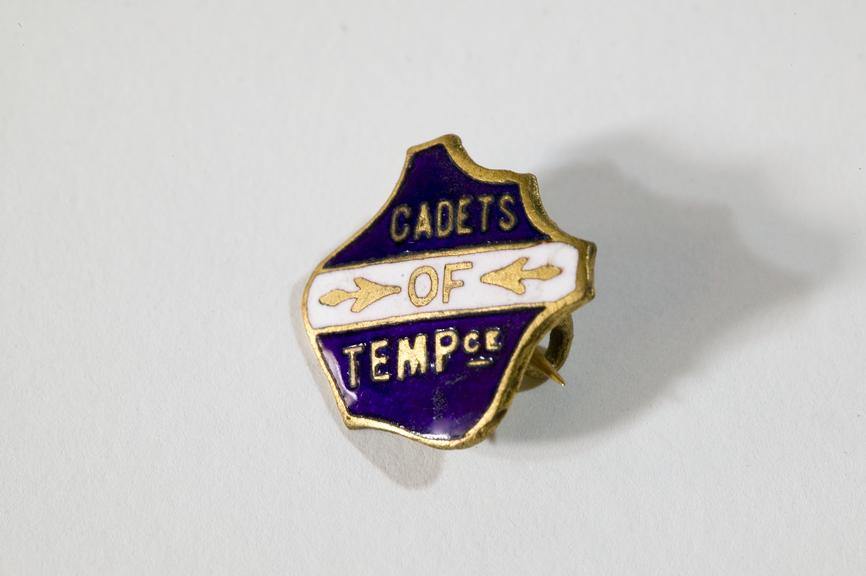 Temperance cadet's badge.
Photographed on a white background.