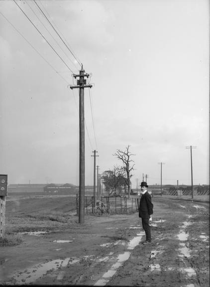 Works photographic negative of a line of poles