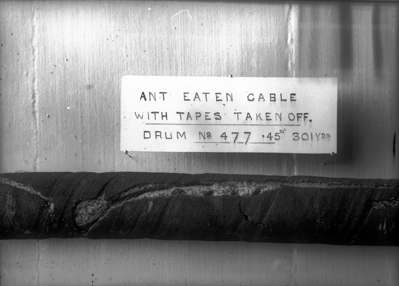 Works photographic negative ant eaten cable, Calcutta [Kolkata]