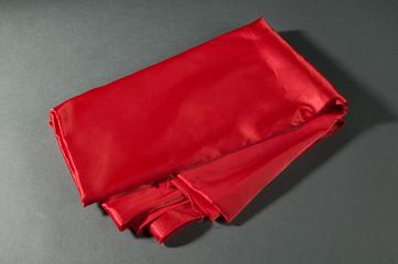 Red Fabric Sample