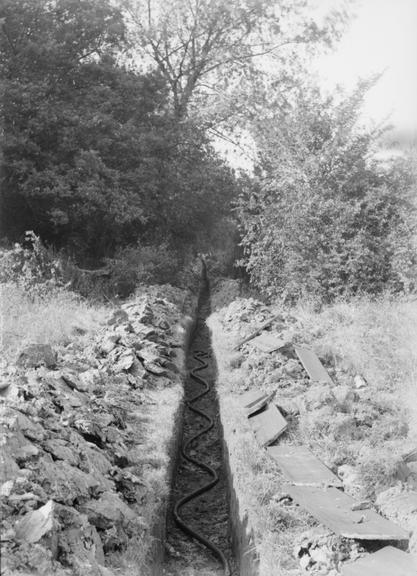 Works photographic negative of trench emerging from woodland