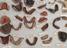 Group of dentures photographed in storage in B49 at Blythe House