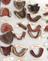 Group of dentures photographed in storage in B49 at Blythe House