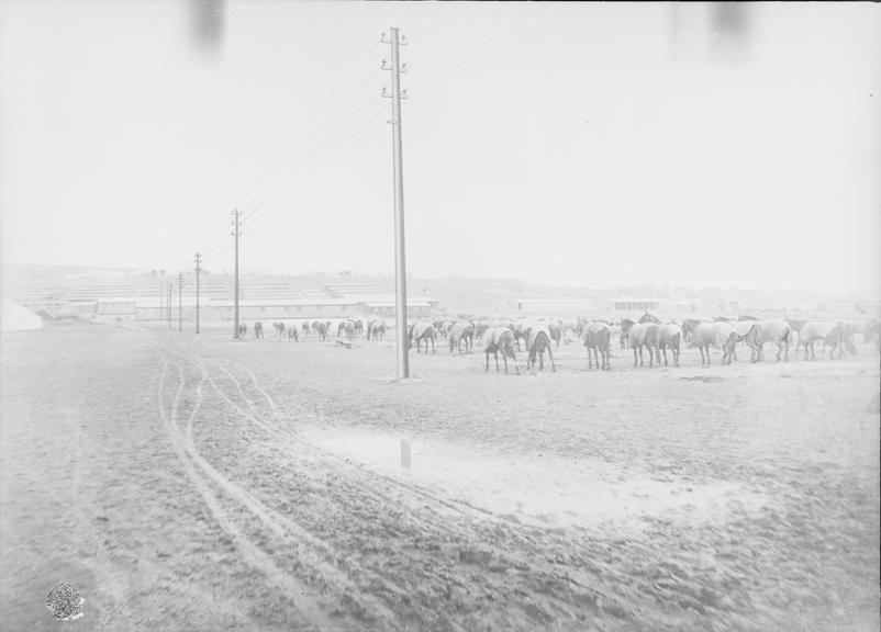 Works photographic negative of transmission line, Bulford Camp