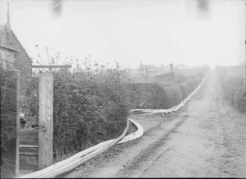 Works photographic negative of cables laid by hedges, Sheffield