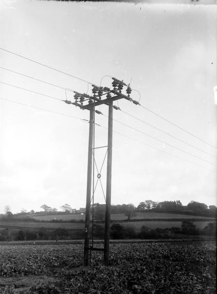 Works photographic negative of 22 kV overhead line, Hastings