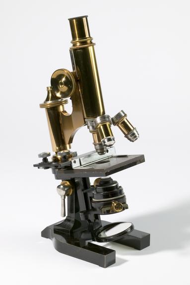 compound microscope