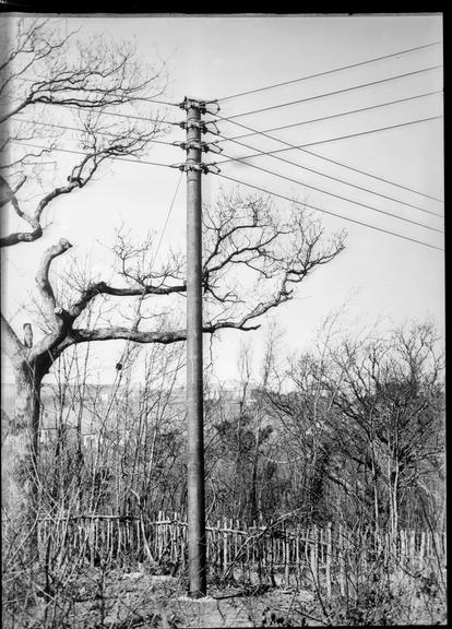 Works photographic negative of overhead line junction, Hastings