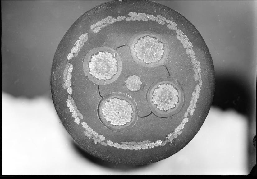 Works photographic negative of cable cross section