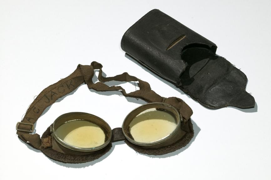 Tinted goggles with case