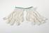 Cotton pathologists' gloves (gloves)