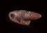 Red earthenware foot-scraper in the form of a crocodile