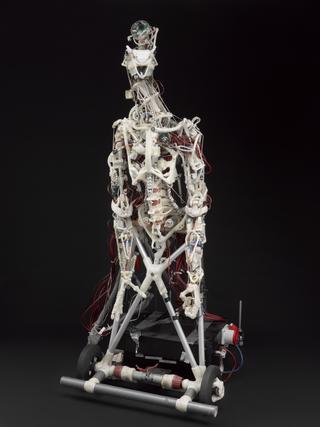 CRONOS/ECCE1, the first anthropomimetic robot