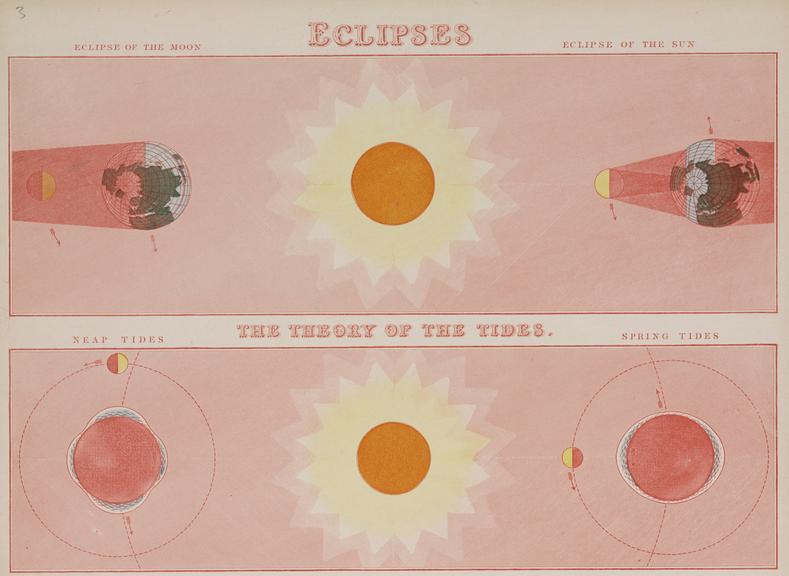 Engraving. Astronomical diagram. Eclipses. The theory of the tides. ca.1850. Published by James Reynolds