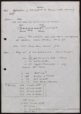 Laboratory notes written during the preparation of an autoradiograph of the first genetic fingerprint, Leicester England, 1984