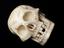 Marble skull