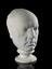 Plaster phrenological head