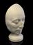 Plaster phrenological head of unidentified male, 19th century.