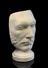 Plaster phrenological head of unidentified male, 19th century.