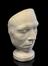 Plaster phrenological head of unidentified male, 19th century.