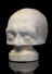 Plaster phrenological head, unidentified, 19th century.