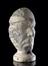 Plaster phrenological head of unidentified male, 19th century.