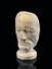 Plaster phrenological head of unidentified male, 19th century.