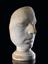 Plaster phrenological head of unidentified male, 19th century.