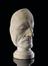 Plaster phrenological head of unidentified male, 19th century.