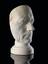 Plaster phrenological head of unidentified male, 19th century.