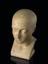 Two phrenological heads, plaster