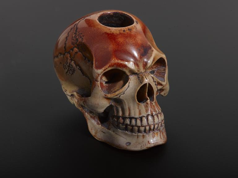 Model of a skull, complete with teeth and mandible