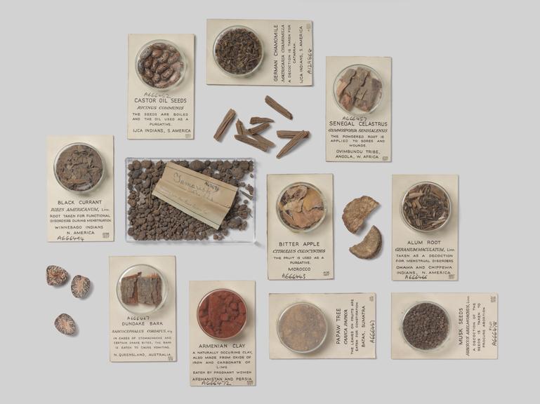 Materia Medica & Pharmacology specimens from around the world