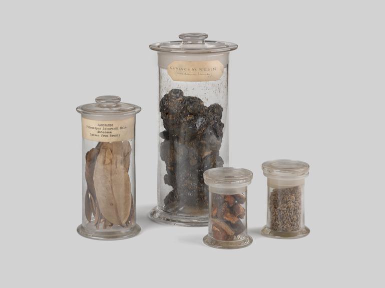 From left to right:
    
    Specimen jar of pilocarpus microphyllus