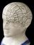 Phrenological bust by Fowler