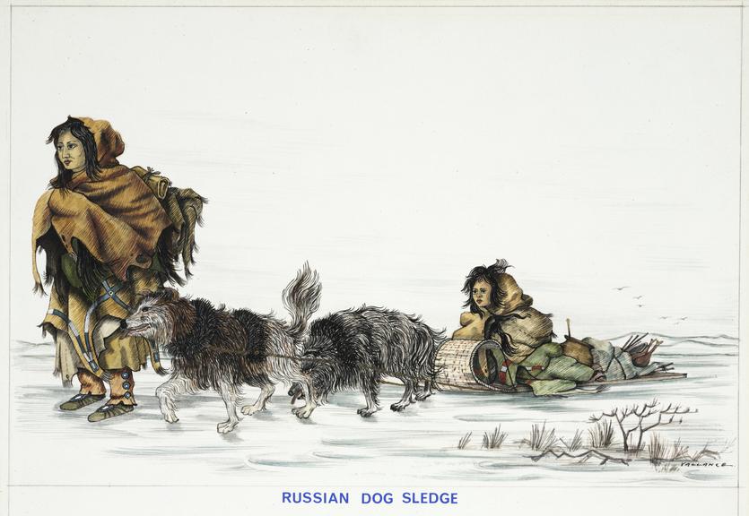 Drawing, ink and wash, Russian dog sledge, by Vallance [1967]