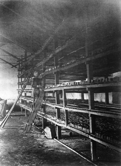 Planting and manufacturing of indigo: Drying house (Indigo cakes on Shelves)