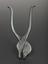 MOdel of tiger forceps